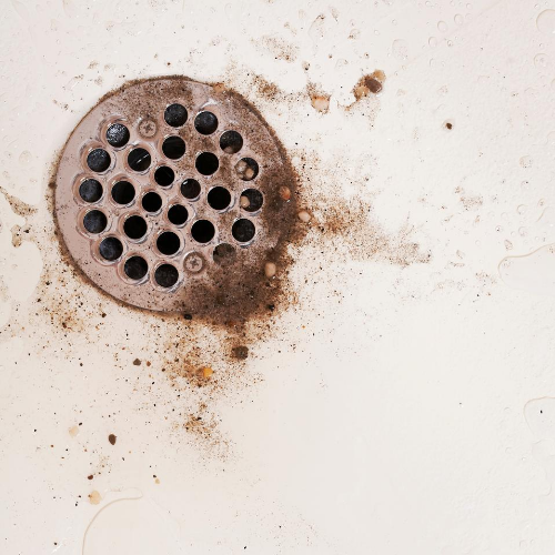 blocked-shower-drain-optimised-plumbing-services