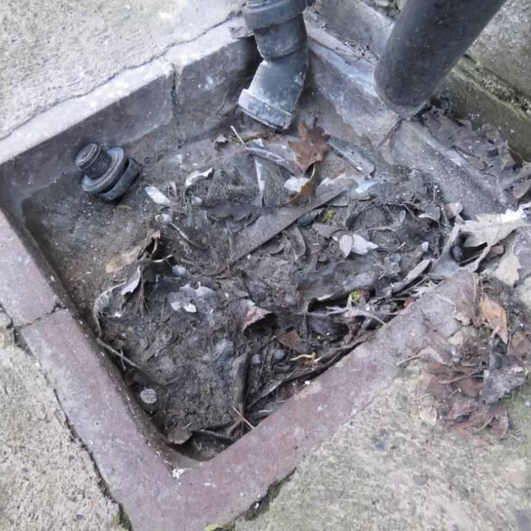 old blocked drain in Marrickville filled with dirt and leaves