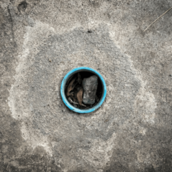 Concrete & Blocked Drains – Everything You Need To Know