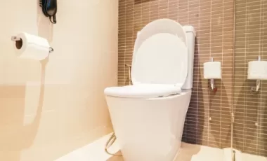 Which Type of Toilet Should I Install?